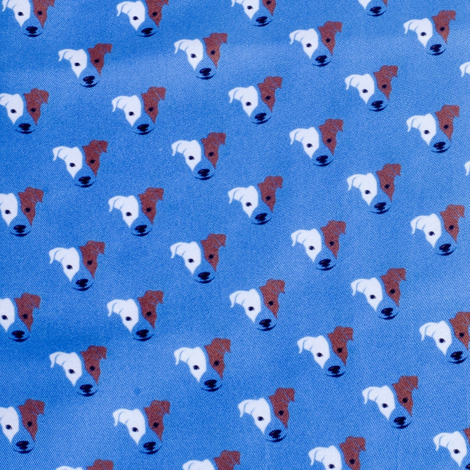 Rufus Pocket Square